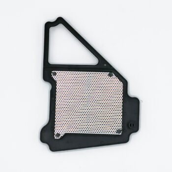 Air Filter Yamaha YBR 125 Bikes