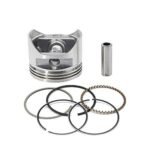 4 stroke ring piston assay complete